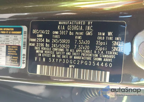 2023 Kia Telluride Ex from USA, damaged, VIN 5XYP3DGC2PG354460